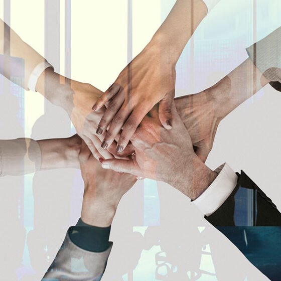 Team & Collaboration
